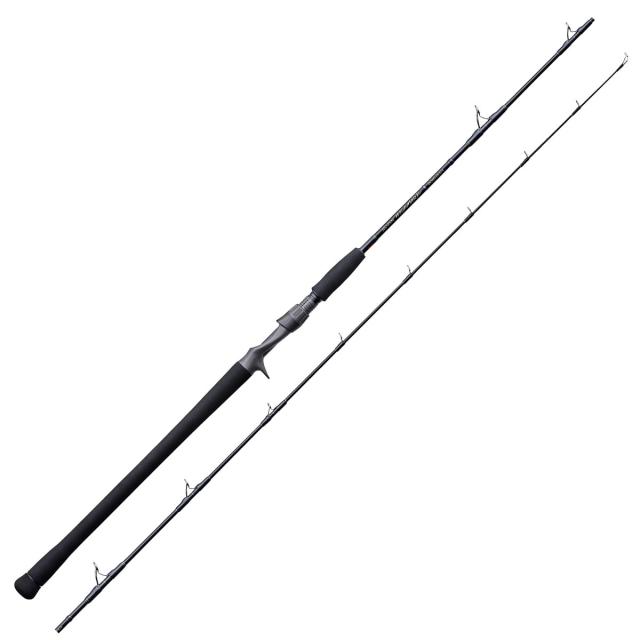 テンリュウ ジグザム ワイルドマーク JWM611B-2/4 (ジギングロッド)(大型商品A)