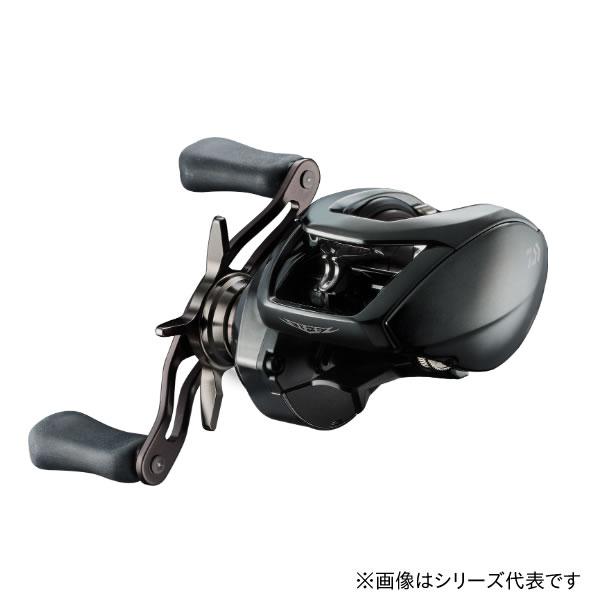 ダイワ 24 スティーズSV TW 100 (Daiwa ベイトリール 釣り 右)【送料無料】