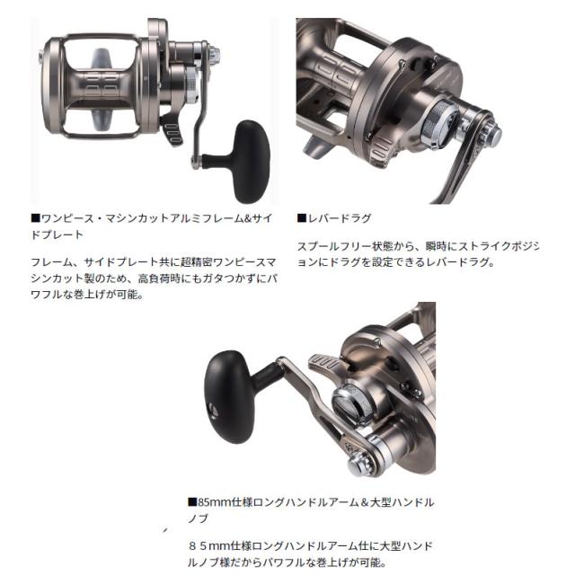 ダイワ シーライン LD40P (Daiwa 両軸リール 釣り)【送料無料】の通販