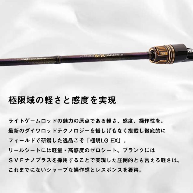 ダイワ 極鋭ライトゲームEX 82MH-160 (Daiwa 竿 ロッド 船 海 釣り