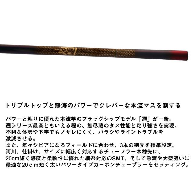 ダイワ 遡 P-10 85 (Daiwa 竿 ロッド 渓流 釣り)(大型商品A)_2
