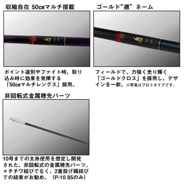 ダイワ 遡 P-10 85 (Daiwa 竿 ロッド 渓流 釣り)(大型商品A)_3