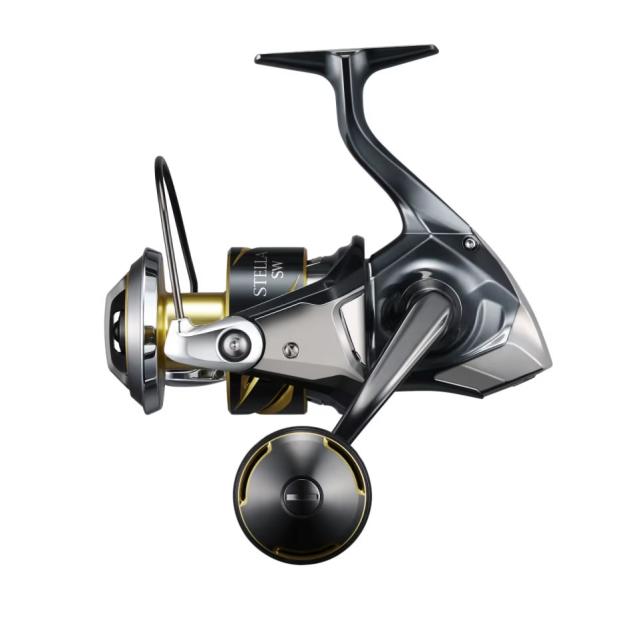 シマノ 25 ステラSW 8000PG (Shimano オフショア ジギング リール)【送料無料】