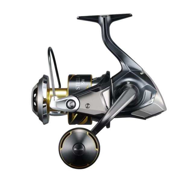 シマノ 25 ステラSW 8000XG (Shimano オフショア ジギング リール)【送料無料】