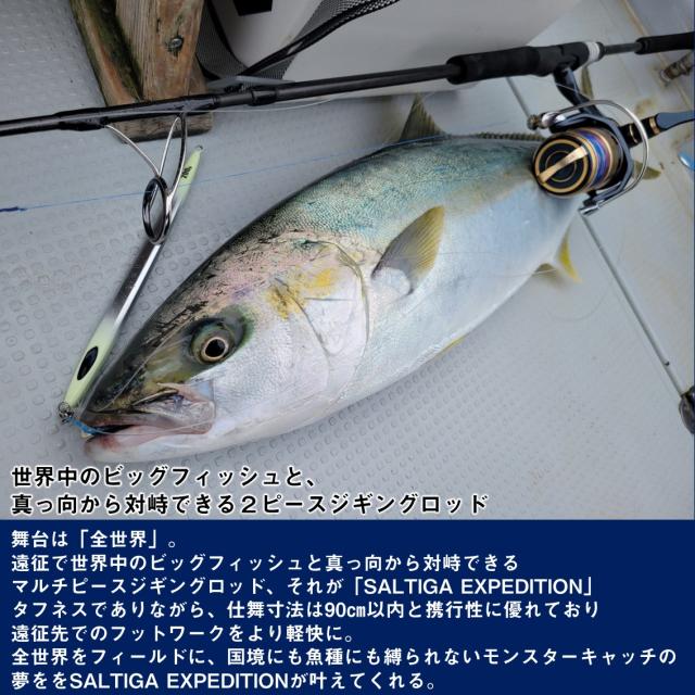 ダイワ 25 ソルティガJ エクスペディション 50S-6 (Daiwa ジギングロッド 竿 釣り 2ピース)【送料無料】_2