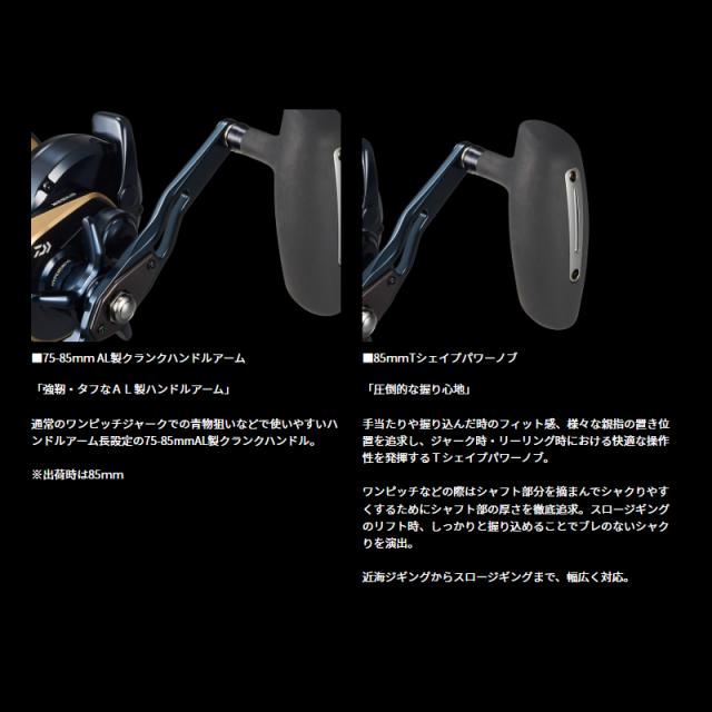 ダイワ 25 ソルティガ 10 (Daiwa ジギングリール 釣り 右)【送料無料】_2