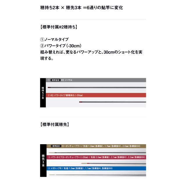 ダイワ 銀影競技メガトルク 急瀬抜85 E (Daiwa 竿 ロッド 鮎 釣り)(大型商品A)_5