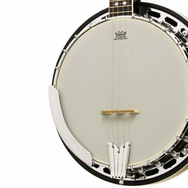 ARIA リゾネーターバンジョー Banjo SB-40〈アリア〉の通販はau PAY マーケット - 楽器de元気 | au PAY  マーケット－通販サイト