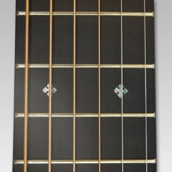 ASTURIAS アコースティック TRAD Series D Reverence 〈アストリアス〉_3