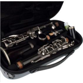 PROTEC BM307SX Bb Clarinet用Micro ZIP Case シルバー