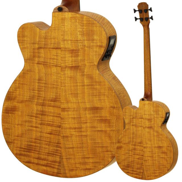 ARIA FEB-F2/FL STBR(Stained Brown) フレットレスエレアコベース