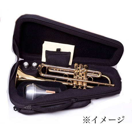 bags EFTR トランペット用ファイバーケース F-WHT（フュージョン