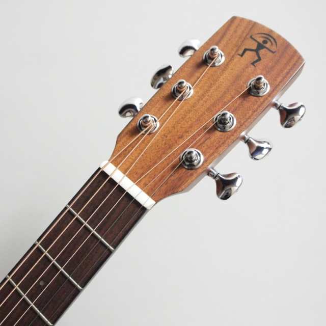 aNueNue aNN-M20E BirdGuitar エレクトッリックアコースティックギター