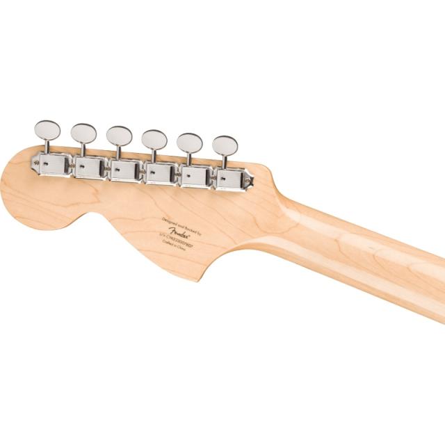 Squier by Fender Paranormal Esquire Deluxe, Maple Fingerboard, Black Pickguard, Metallic Black〈スクワイア フェンダー〉_5