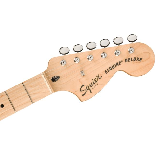 Squier by Fender Paranormal Esquire Deluxe, Maple Fingerboard, Black Pickguard, Mocha〈スクワイア フェンダー〉_4
