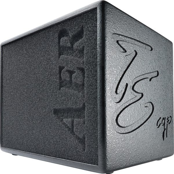 AER Compact60/4 Tommy Emmanuel Signature アコーステックアンプ_1