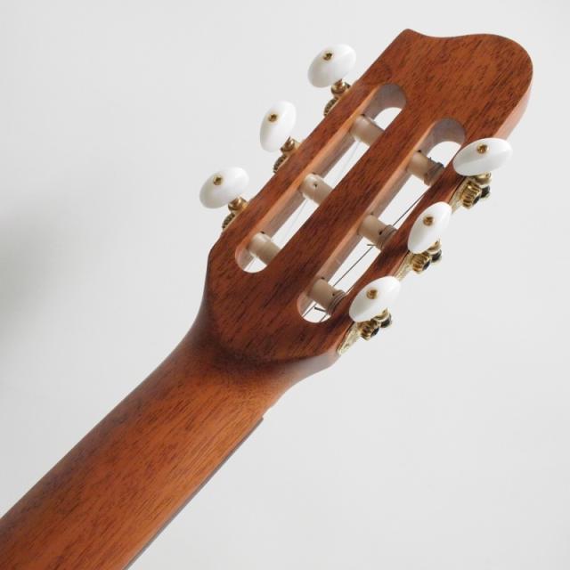 Godin Motif ナイロンギター〈ゴダン〉