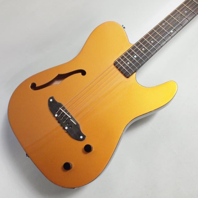 SCHECTER OL-FL-P/GO エレアコ〈シェクター〉