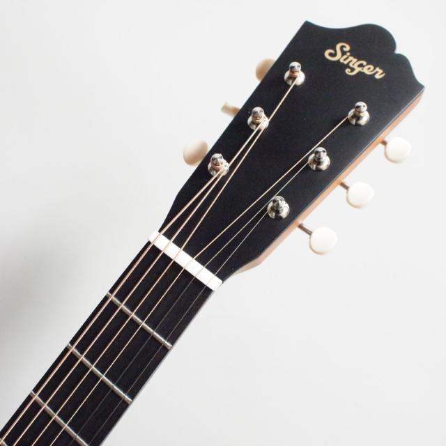 Singer Acoustic Imagine Series P01 BLK アコースティック