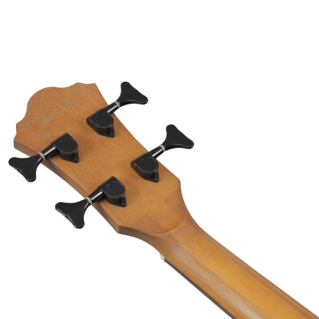 Ibanez AEGB25E-TKH エレアコベース〈アイバニーズ〉_6