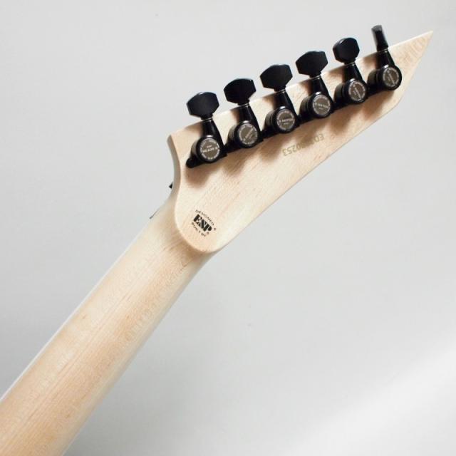 EDWARDS E-ARROW-1H Alternative Black エレキギター〈エドワーズ〉_5