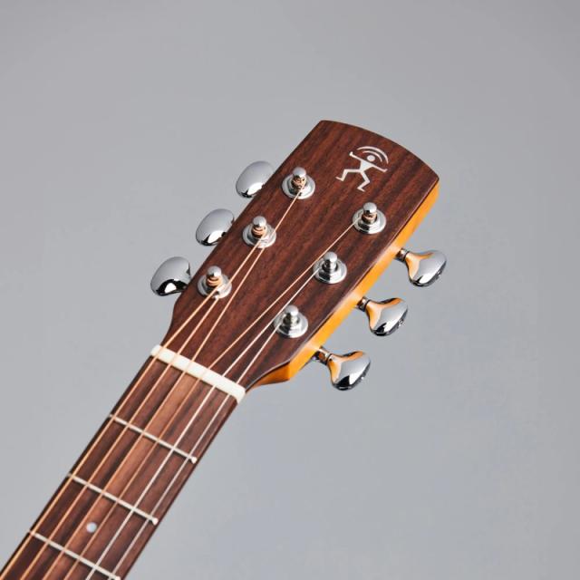 aNueNue aNN-M15E BirdGuitar ミニエレアコ〈アヌエヌエ〉の通販はau 