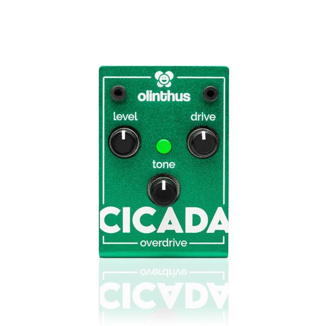 Olinthus CICADA 超小型エフェクター オーバードライブ〈オリンタス〉