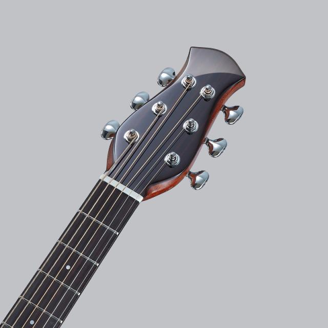 aNueNue aNN-LF280 オール単板 SOLID SITKA・ROSEWOOD