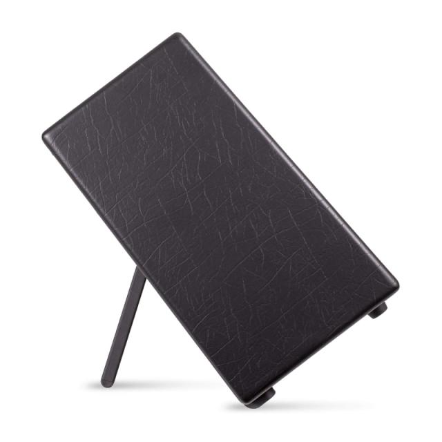 Blackstar Artist FR Special 100w フルレンジ フラットレスポンス パワードスピーカー ブラックスター_6