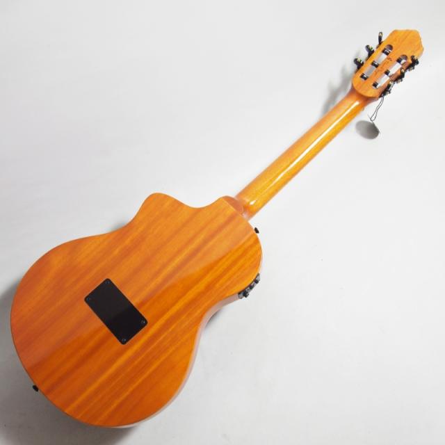 Ortega RTP-LTD エレガット ジリコテトップ 限定モデル オルテガ_3