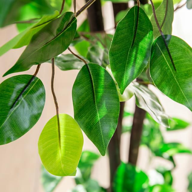 観葉植物 ベンジャミン インテリアグリーン フェイクグリーン 光触媒 人工観葉植物 おしゃれ インテリア オフィス 洗浄 防臭 送料無料_6