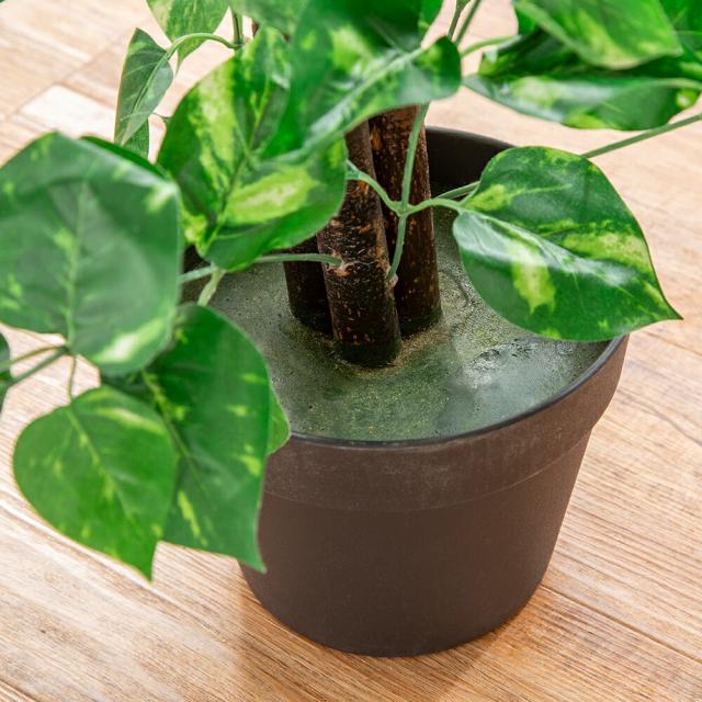 観葉植物 ベンジャミン 2本セット インテリアグリーン フェイク