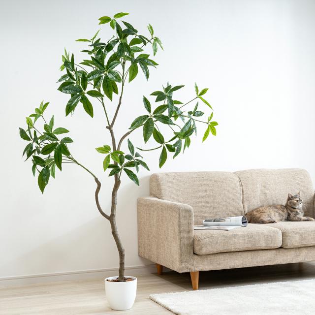人工観葉植物 パキラ 光触媒 フェイクグリーン 大型 150cm インテリアグリーン お手入れ不要 オフィス リビング 消臭 抗菌_3