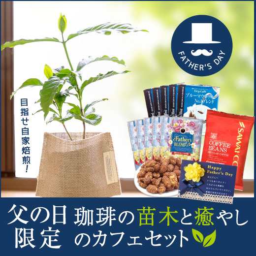 澤井珈琲 送料無料 父の日限定 コーヒーの苗木と癒やしのカフェセット 珈琲 珈琲豆 コーヒー豆 ラッピング 同梱不可の通販はau Pay マーケット 澤井珈琲beans Leaf 澤井珈琲 送料無料 父の日限定 コーヒーの苗木と癒やしのカフェセット 珈琲 珈琲豆 コーヒー豆 ラッピング 同梱不可の通販はau Pay マーケット 澤井珈琲beans Leaf