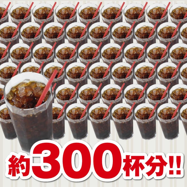 送料無料 アイスでポン! 珈琲専門店の水出し珈琲パックメガ盛り福袋 300杯 分 (1袋10パック入り×10) アイスコーヒー豆 福袋 水出しコーヒー コーヒー福袋 アイスコーヒー コールドブリュー 澤井珈琲_4