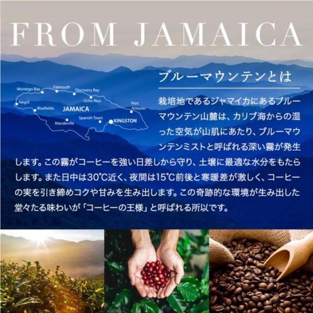 コーヒー 豆 粉 珈琲豆 豆のまま 上品な香り 極上の一杯 澤井珈琲 ブルーマウンテン 3種 飲み比べ 60杯分 福袋 200g×3袋 なめらか 雑味なし