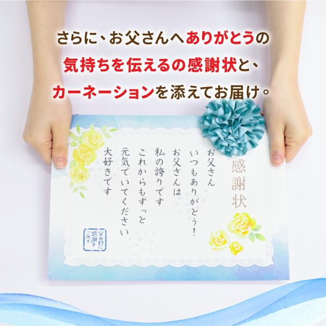 父の日限定 感謝を伝える贅沢 ドリップコーヒー 福袋 8g×80袋 13g×60袋 飲み比べ セット 大容量 個包装 ブルーマウンテン マグカップ 送料無料 澤井珈琲_2