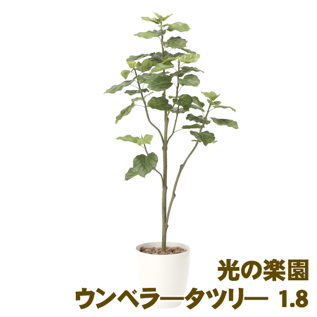 ●光の楽園 (805A430-51) ウンベラ—タツリ— 1.8 送料無料 93874の通販は 31,270円