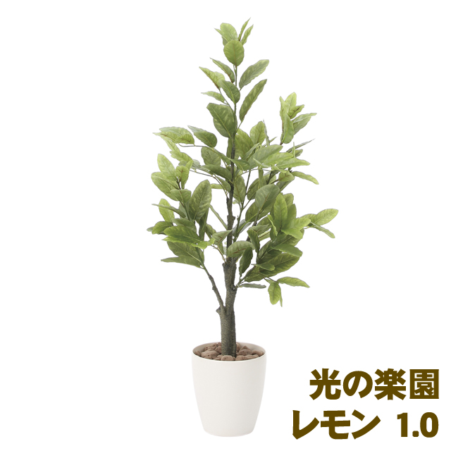 ●光の楽園 (818A150-48) レモン 1.0 送料無料 93887