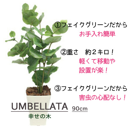 ●ウンベラータ 幸せの木(フェイクグリーン) [rky-1] 送料無料 93994_3