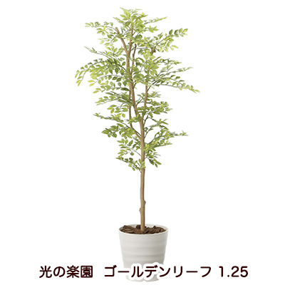 ●光の楽園 (2013A200-36) ゴールデンリーフ 1.25 送料無料 94169