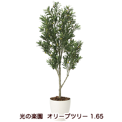 ●光の楽園 (2096A400-44) オリーブツリー 1.65 送料無料 94179