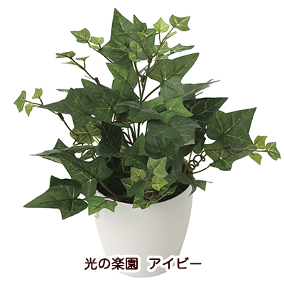 ●光の楽園 (2038K35-64) アイビー 送料無料 94195の通販は 5,392円