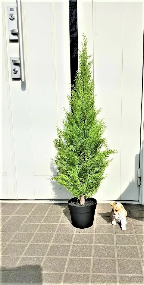 ●造花 人工観葉植物 ゴールドクレスト 90cm [ wgs-1111 ] 送料無料 98134の通販は