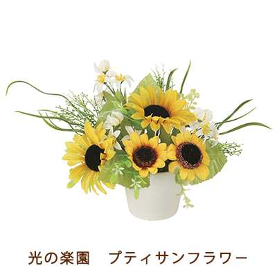 ●光の楽園 (918H30-98) プティ サンフラワー ひまわり 送料無料 94077