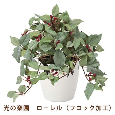 ●光の楽園 (388G40-61) ロ−レル (フロック加工) 送料無料 99552の通販は