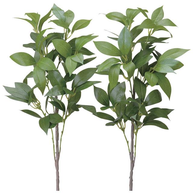 ●光の楽園 (100K40-101) シキミ（香花）２本セット 送料無料 92811の通販は 5,533円