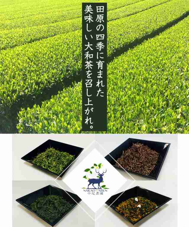 【郵送】中尾農園 奈良県田原産 大和茶 緑茶 三角 ティーバッグ 4g 20P ×2袋 送料無料 79609｜au PAY マーケット