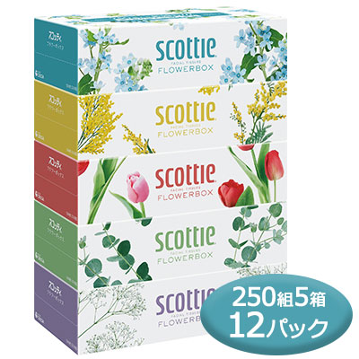 スコッティ ティシュー フラワーボックス 250組 5箱パック ×12パック scottie ティッシュペーパー 送料無料 00085