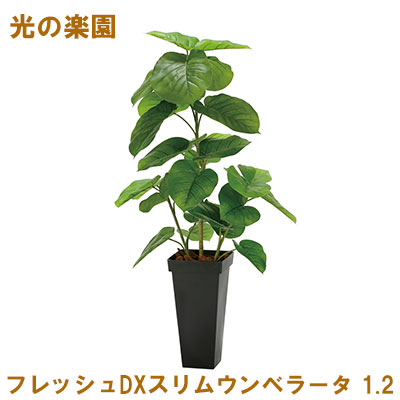 光触媒　人工観葉植物　フェイクグリーン　フレッシュDXスリムウンベラータ1.2m ○光の楽園 (2326A300-46) フレッシュDXスリムウンベラータ 1.2